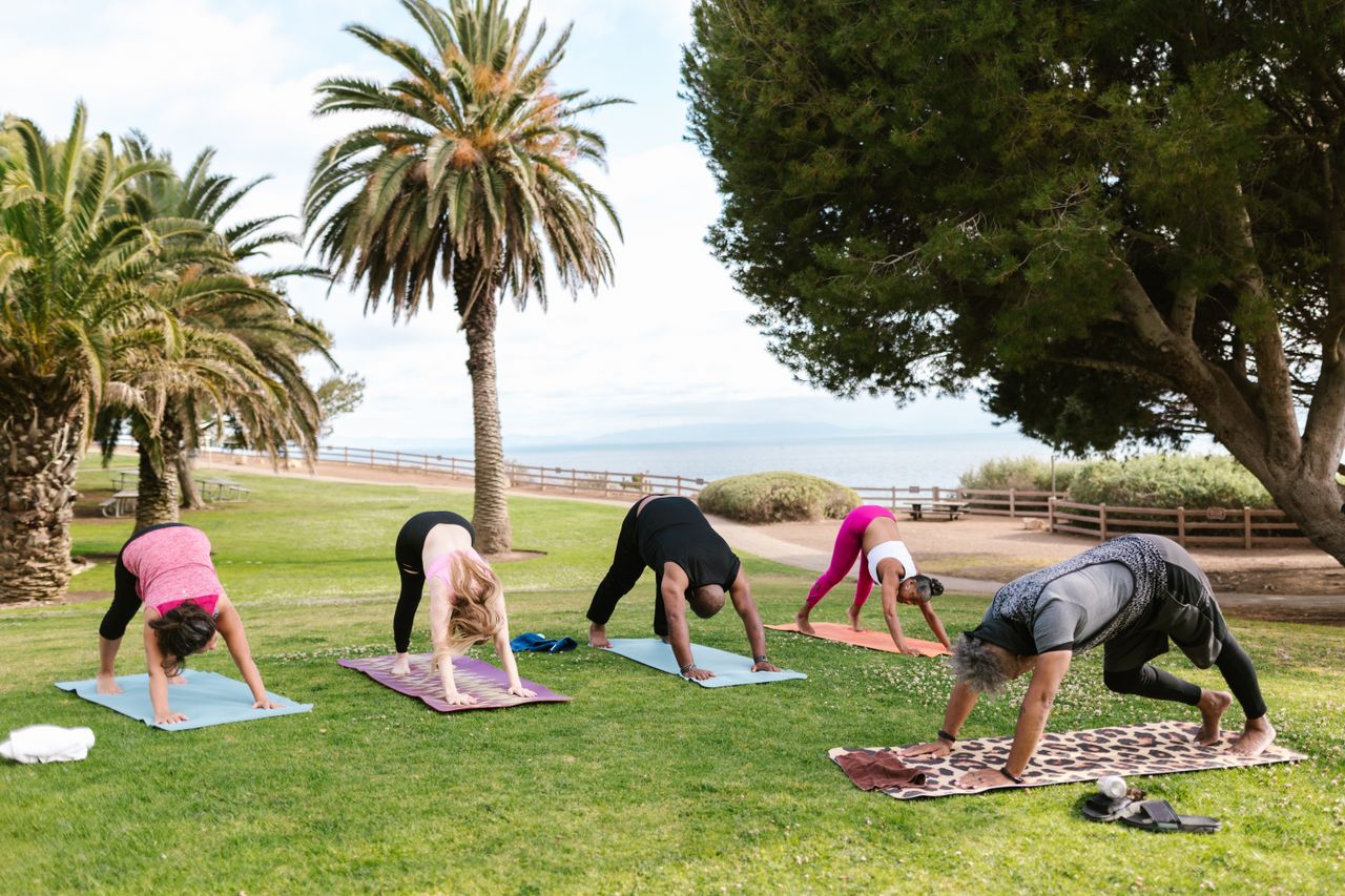 about-img Group practicing yoga outdoors in a scenic park with palm trees, focusing on wellness and fitness.